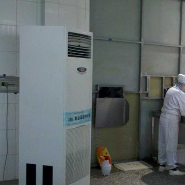 钦州食品正负离子空气杀菌器